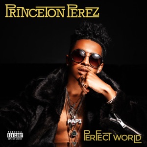 Perfect World - Single - Princeton Perez