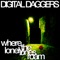 Where the Lonely Ones Roam - Digital Daggers lyrics