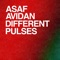 Different Pulses (Joris Delacroix Remix) - Asaf Avidan lyrics