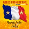 Freed From Desire (feat. Carly Marie) [Strong Beliefs Mix] - Single