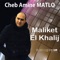 Maliket El Khalij artwork