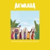 Akwaaba Ayiti (feat. DJ Bullet, J. Perry & Dro) - Single, 2019