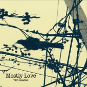 tim gearan - Mostly Love