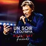 Johnny Hallyday - Le pénitencier