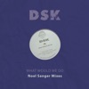 What Would We Do (Noel Sanger Mixes) - Single