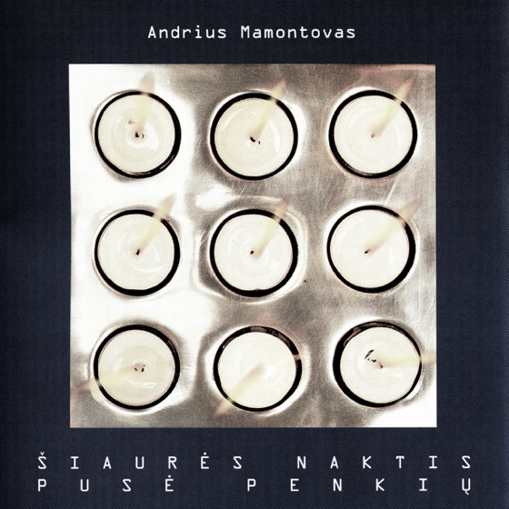 Cover artwork for Geležinė Širdis