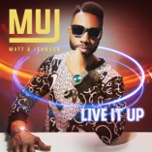 Matt U Johnson - Live It Up