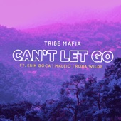 Can't Let Go (feat. Erik Goca, Rora Wilde, Malieo) artwork