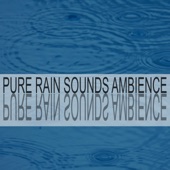 Pure Rain Sounds Ambience artwork