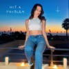 Not a Problem - Single