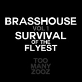 Brasshouse, Vol. 1: Survival of the Flyest artwork