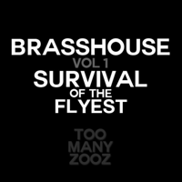 Too Many Zooz - Brasshouse, Vol. 1: Survival of the Flyest artwork