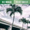 Dez Moran - Walk in the Park