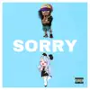 Sorry (feat. Zelly Vibes) - Single album lyrics, reviews, download