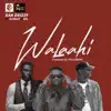 Walaahi (feat. SPL & DJ Kellybrown) - Single album lyrics, reviews, download