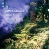 Jungle - Single