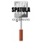 Spatula - ColdmaN5 lyrics