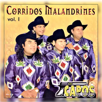 Corridos Malandrines Vol. 1 - Los Capos de Mexico