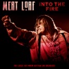 Meatloaf - Paradise By the Dashboard Lights