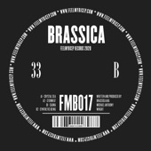 Brassica - Storm 87