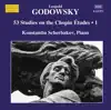 Godowsky: Piano Music, Vol. 14 album lyrics, reviews, download