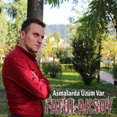 Asmalarda Üzüm Var (feat. Erol Şahin) artwork