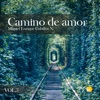 Camino de amor Vol. 3