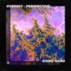 Perspective - Single