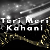 Teri Meri Kahani artwork