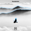 Thunderbird - Single, 2020