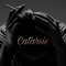 Catarsis - VASSA lyrics