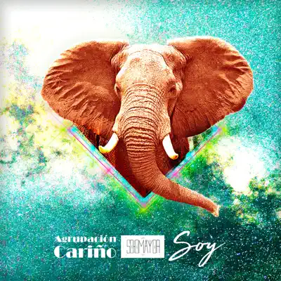 Soy (feat. Sotomayor) - Single - Agrupación Cariño