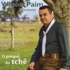 Wilson Paim Interpreta Otavio Reichert: O Porquê do Tchê