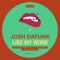 Like My Work (Andre Gazolla Remix) - Josh DaFunk lyrics