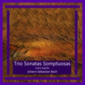 Bach: Trio Sonatas Somptuosas artwork