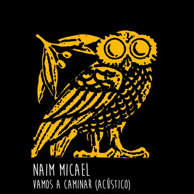 Vamos a Caminar (Acústico) - Single - Naim Micael
