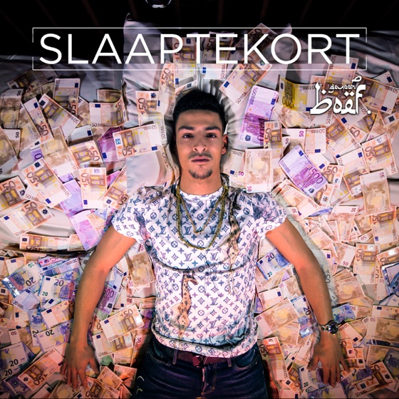 Cover artwork for Slapend Rijk (feat. Sevn Alias)