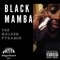 Do it Right Now (feat. Lil Terry) - Black Mamba lyrics