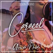 Caracol (Sesión En Vivo) [En vivo] artwork