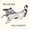 Why is the Night - Single