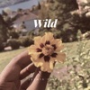 Wild - Single