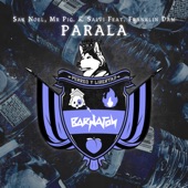 Parala (feat. Franklin Dam) artwork