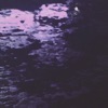 9folded - 08 / 01