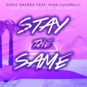 Stay the Same (Dave Ruthwell & Mr. Sid Remix) [feat. Nino Lucarelli] artwork