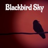 Blackbird Sky - EP