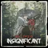 Stream & download Insignificant - Single