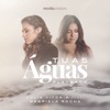 Tuas Águas (feat. Gabriela Rocha) [Playback] - Single