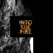 Into the Fire - EP artwork
