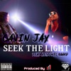Seek the Light (feat. Petronel Baard) - Single, 2020