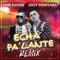 Echa Pa' Lante (Remix) artwork